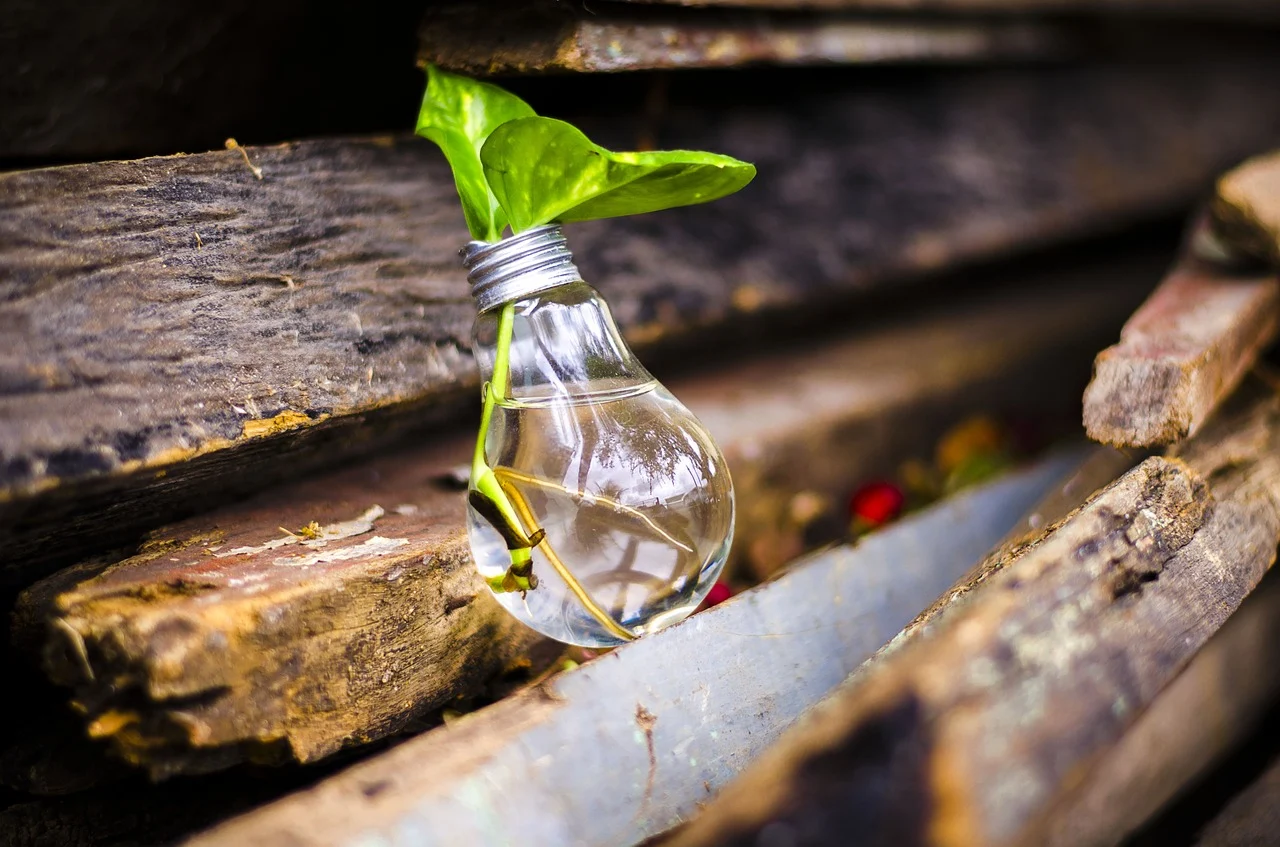 Agir pour l'écologie à Lyon en rejoignant une association